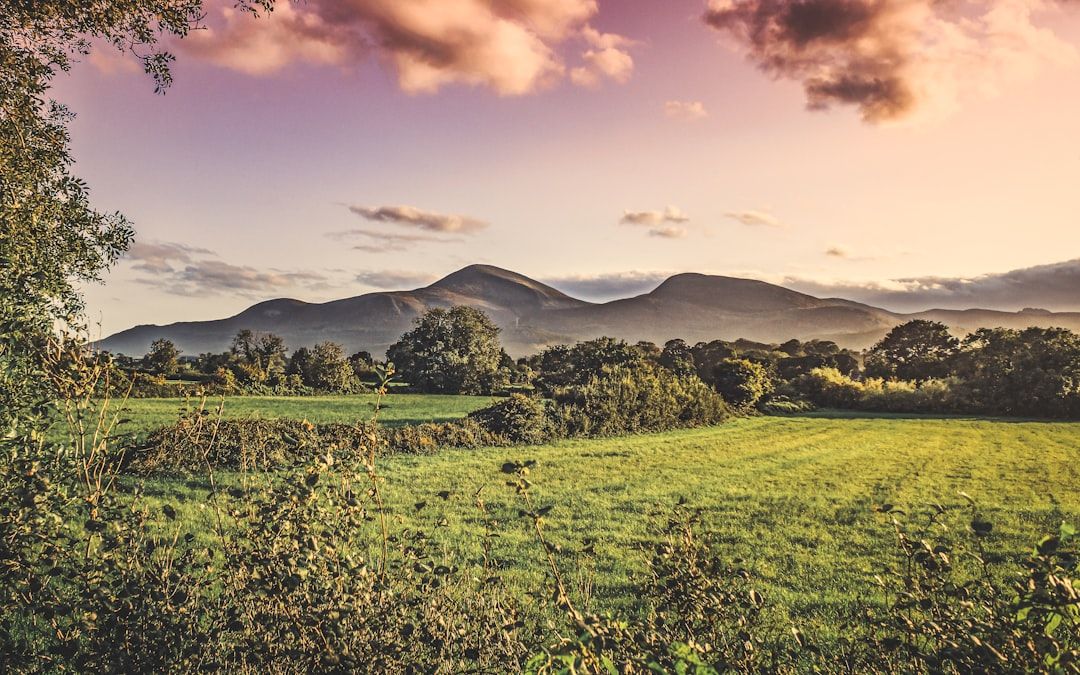 Ireland countryside nature landscape