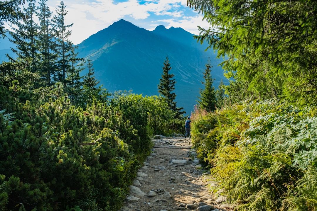 Mountain trail in Asia
